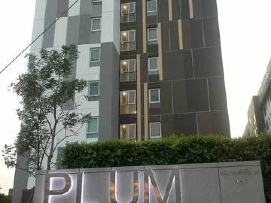 RODPK-0024 ให้เช่า Plum Condo Paholyothin 89 ห้องสวย ราคาถูก ติดต่อ คุณ ป่าน โทร 085 916 2481