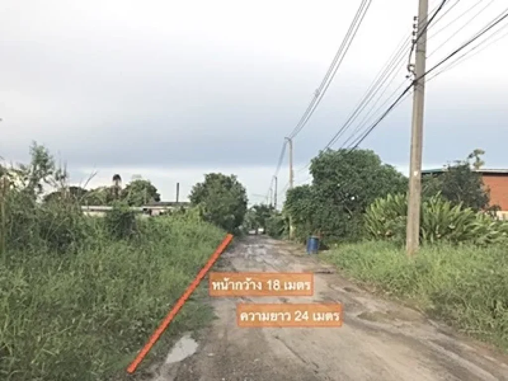 ที่ดิน ซอยพูลศรี ปทุมธานี ตำบลบางขะแยง อำเภอเมือง ปทุมธานี 101 ตรว