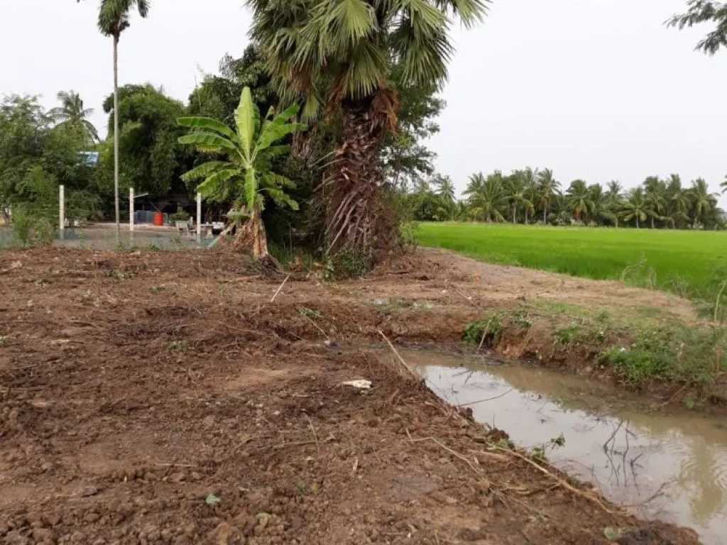 ขายที่ดิน 320 ตรว ตดอนมะสังข์ อเมือง จสุพรรณบุรี