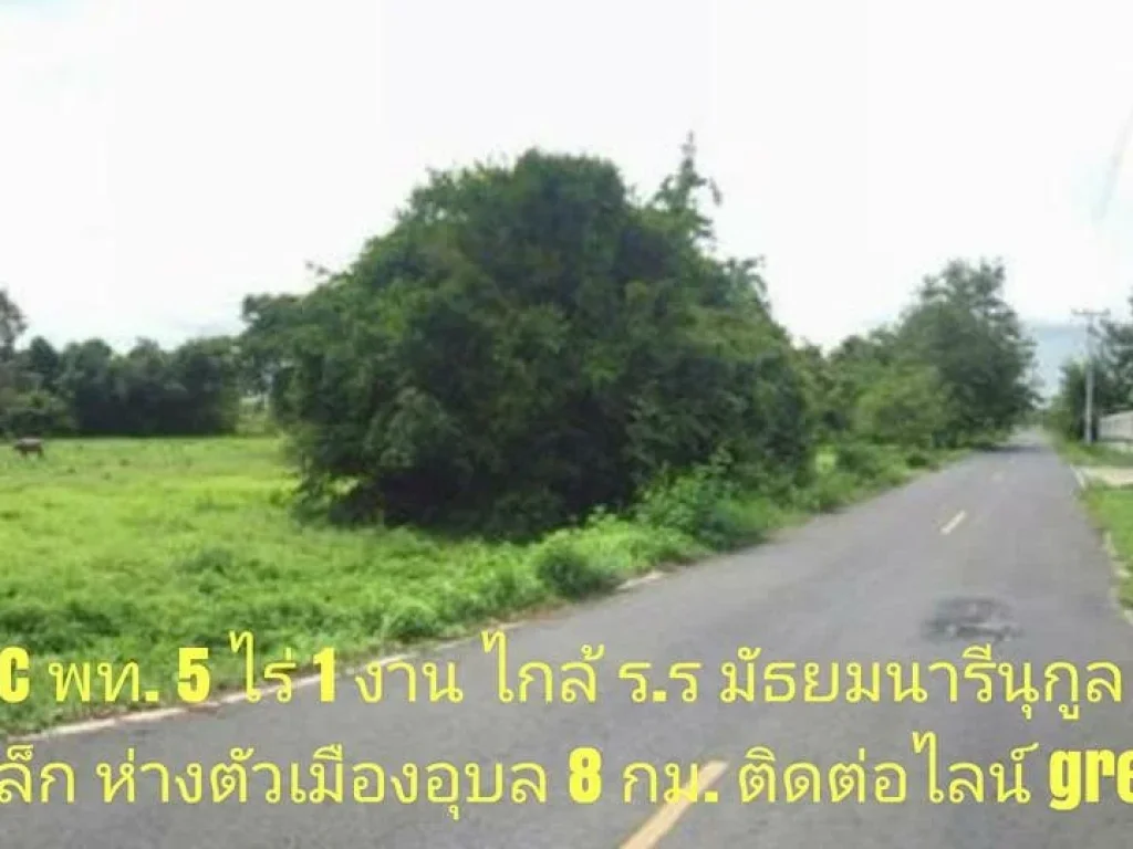 ที่โฉนด 5 ไร่ 1 งาน ติดถนนลาดยาง อเมืองอุบล ห่างตัวเมืองอุบล 8 กม