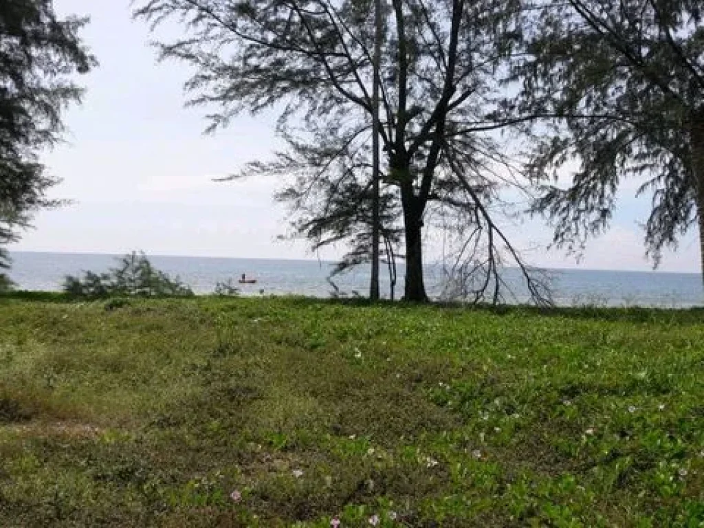 ขายที่ดินติดทะล 2 ไร่ ชายหาดส่วนตัว