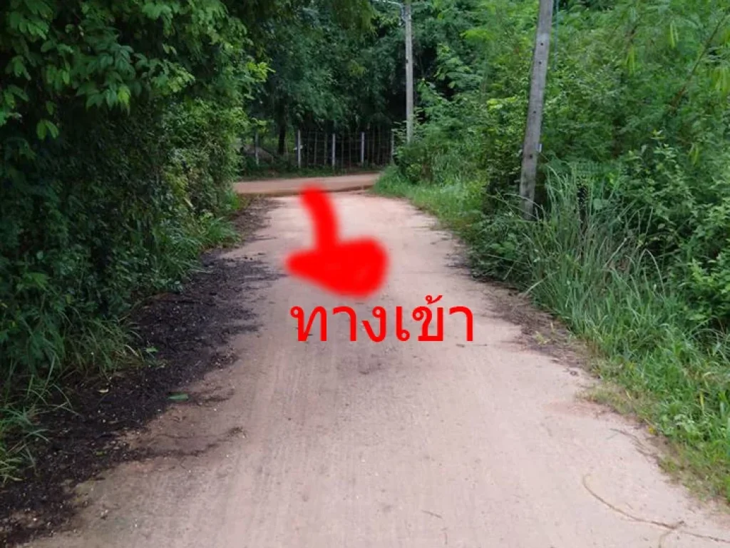 ขายด่วนมาก ที่ดิน