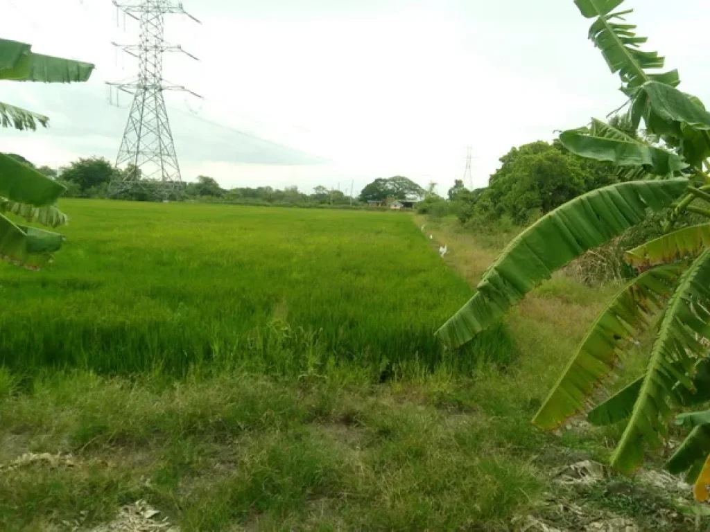 ที่ดิน คลองตาคล้าย บางกรวย-ไทรน้อย บางบัวทอง นนทบุรี