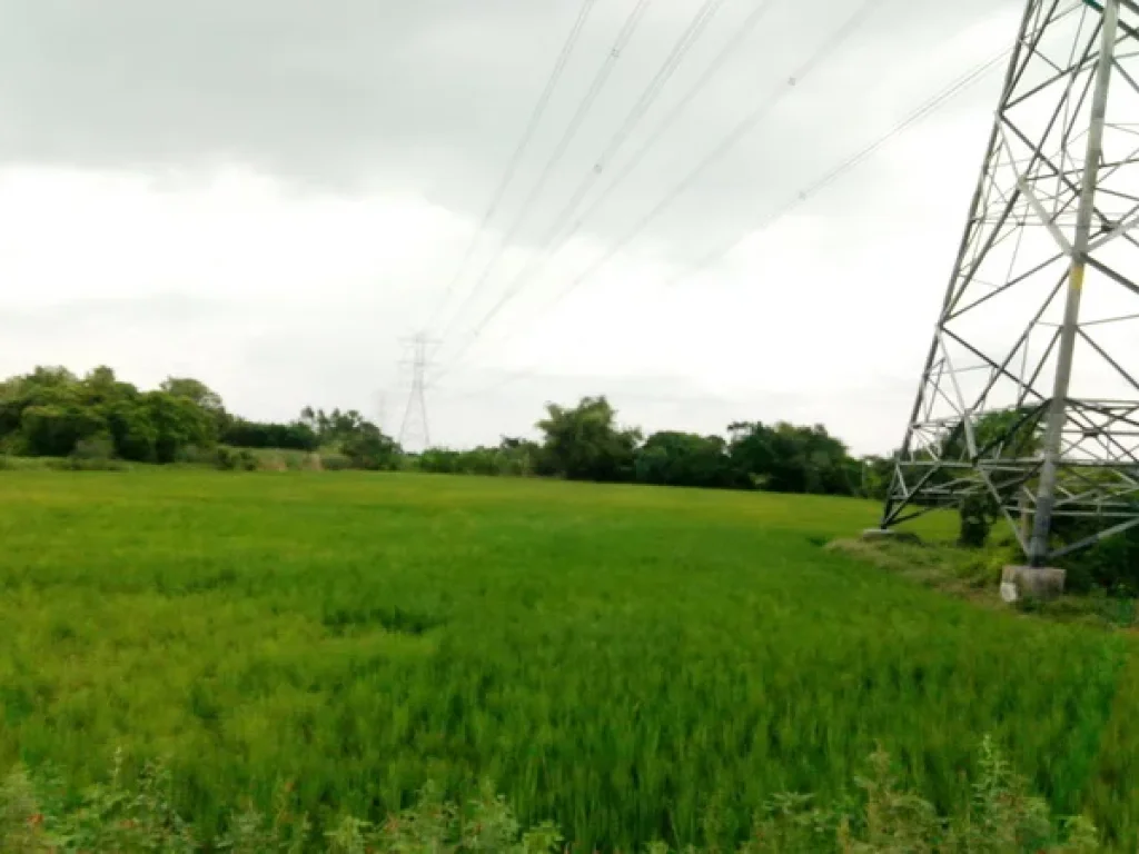 ที่ดิน คลองตาคล้าย บางกรวย-ไทรน้อย บางบัวทอง นนทบุรี