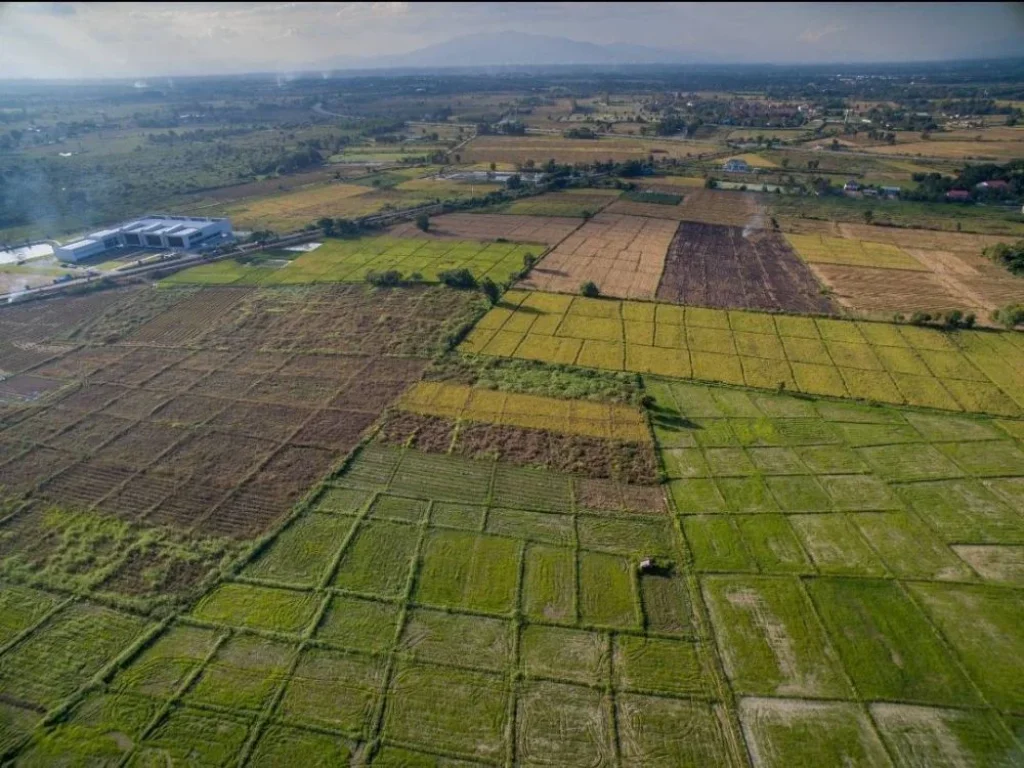 ที่ดิน 170 ไร่ เส้น 1317 สนามบินสายใหม่