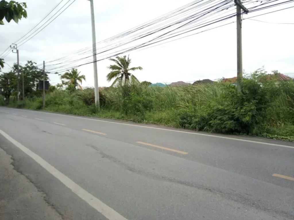 ขายที่ดิน2ไร่ ใกล้ถนนพุทธมณฑลสาย4 ใกล้สนามหลวง2 ที่ดินติดถนนสุภาพบุรุษซอยลัดออกถนนคลองทวีวัฒนา หน้ากว้าง42เมตร