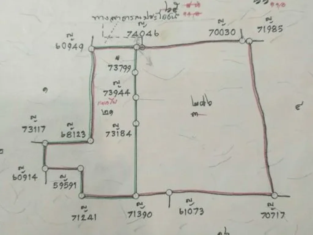 ขายที่ดินสวนมะพร้าว 30ไร่ บางแพ ราชบุรี