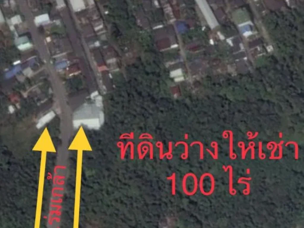 ที่ดินว่างให้เช่า 100 ไร่ ใจกลางเมืองสุราษฎร์ธานี