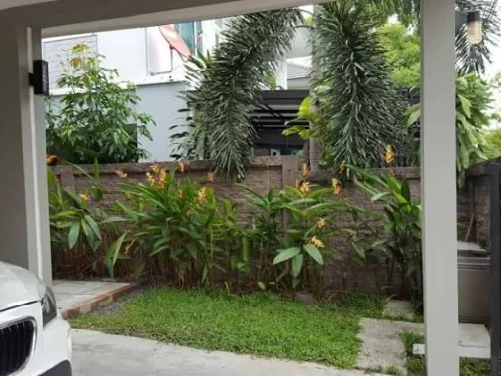 For Rent Single house The Plant Prestige Chaeng Wattana พร้อมเฟอรื