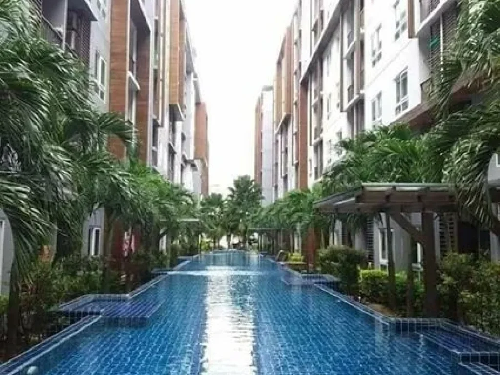 For Rent The Trust Central Pattaya ติดถนน สุขุมวิท ใกล้ รพสัตว์ ทองหล่อ พัทยา 600 ม