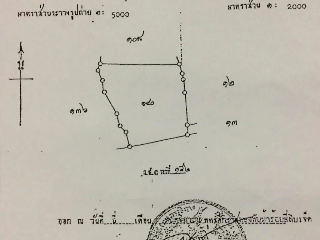 แปลงที่13 ขายที่ดินนส3กทั้งแปลงแถวลายันซอย1 ตเชิงทะเล อถลาง ภูเก็ต