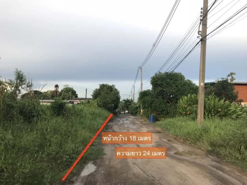 ขาย ที่ดิน ซอยพูลศรี ปทุมธานี ราคาถูก เนื้อที่ 101 ตรว