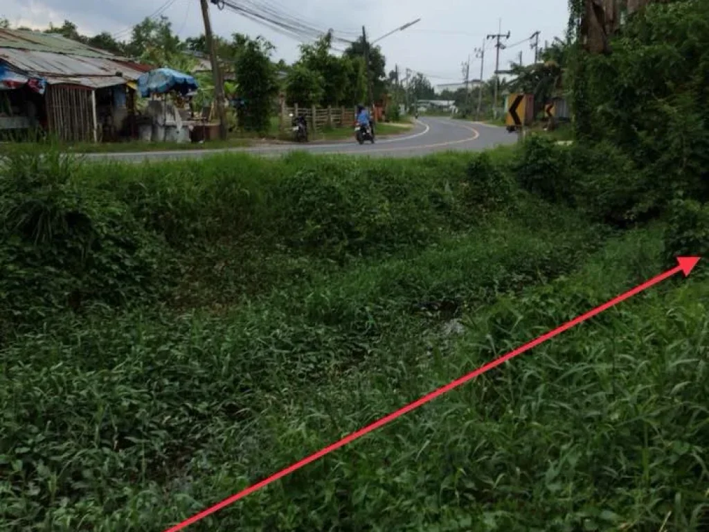 แปลงที่14 ขายที่ดินโฉนดทั้งแปลง แถวถนนบ้านดอน-บ้านใหญ่ อถลาง ภูเก็ต