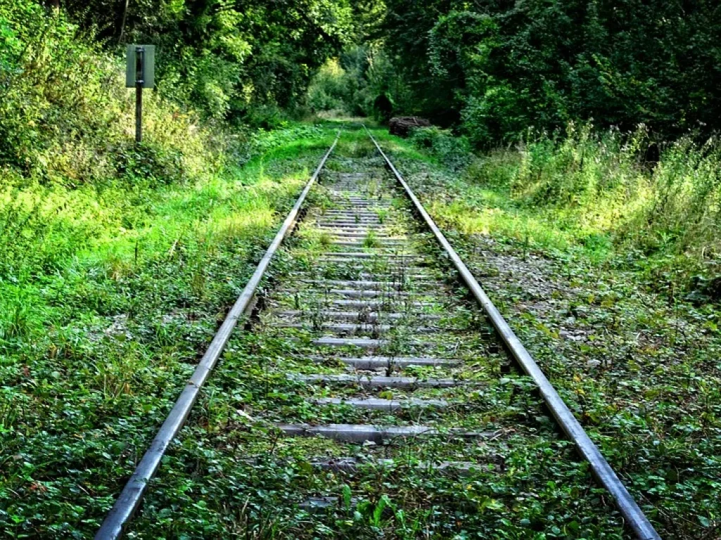 ขายที่นา มีฉโนด ติดแนวรถไฟสายเหนือ