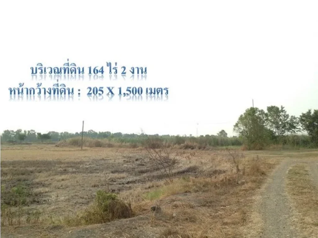 ขายที่ดิน 164-2-0 ไร่ ติดถนนเลียบคลองระพีพัฒน์แยกตก อวังน้อย จพระนครศรีอยุธยา ห่างถนนธัญบุรี หมายเลข 352 เพียง 300ม