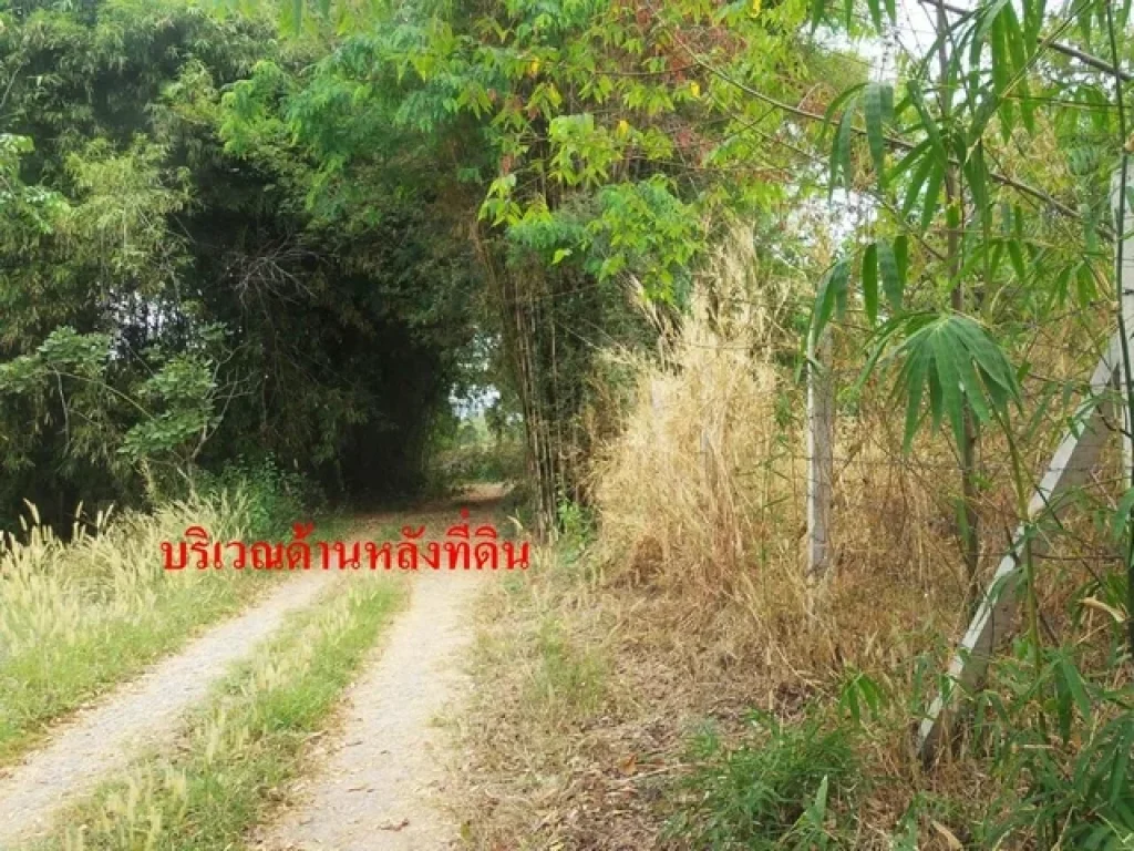 ขายที่ดิน 4-2-76 ไร่ ตพรหมณี อเมือง จนครนายก ใกล้ รรจปร