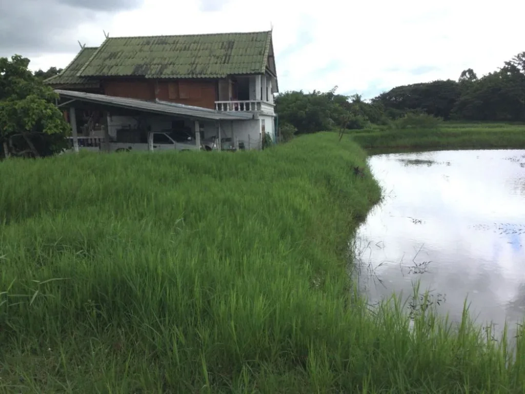 ขายที่ดินพร้อมบ้าน ติดลำเหมือง เหมาะกับการเกษตรในเมือง