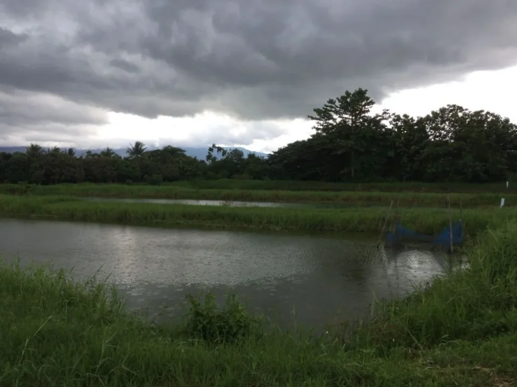 ขายที่ดินพร้อมบ้าน ติดลำเหมือง เหมาะกับการเกษตรในเมือง