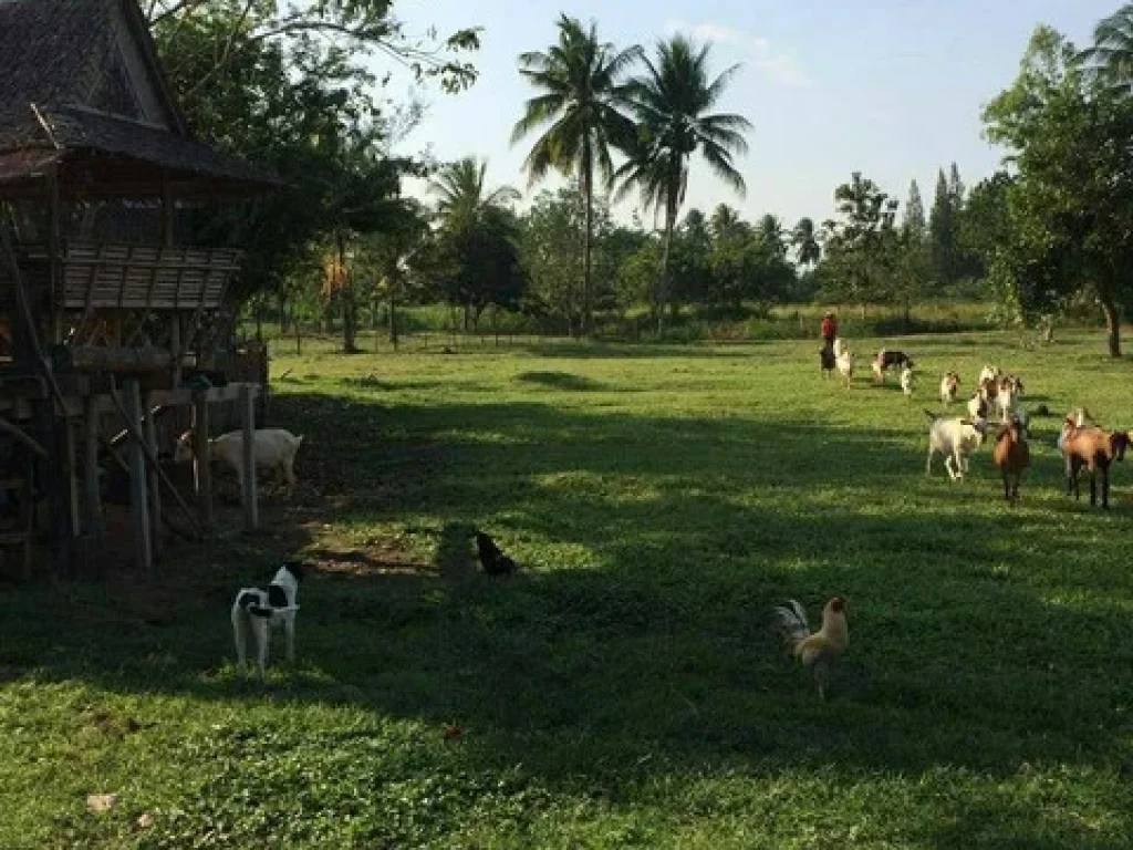 ที่ดินถูก สวนผึ้งราชบุรี 12ไร่ มีโฉนด เจ็ดแสนห้าหมื่นบาทต่อไร่ ติดถนนลาดยาง เหมาะทำรีสอร์ท