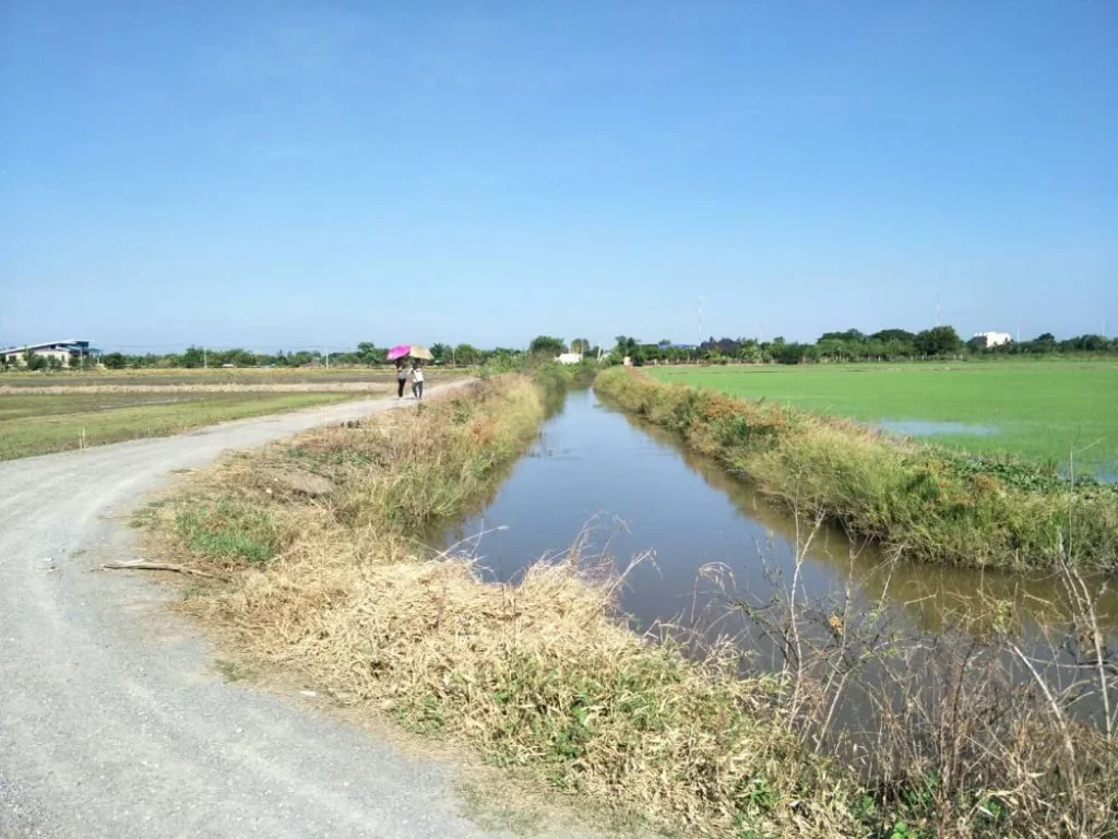 ขายที่ดินในจังหวัดสุพรรณบุรี