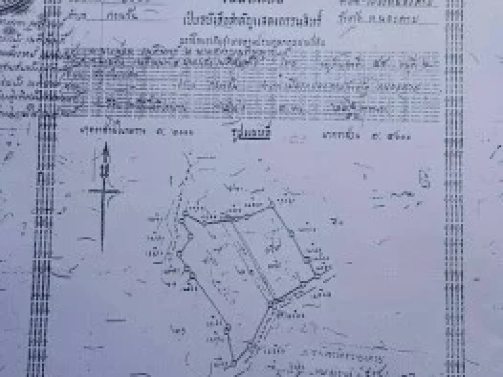 ขายที่ดินใกล้สะพานไทย - ลาว เพียง 2 กิโลเมตร เนื้อที่ 14 ไร่ 1 งาน 565 ตรว