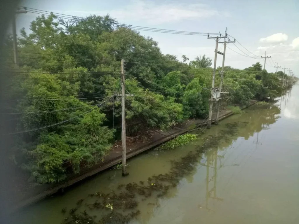 ขายที่ดินติดคลองดำเนินสะดวก ใกล้ตลาดดำเนินสะดวก 7 ไร่