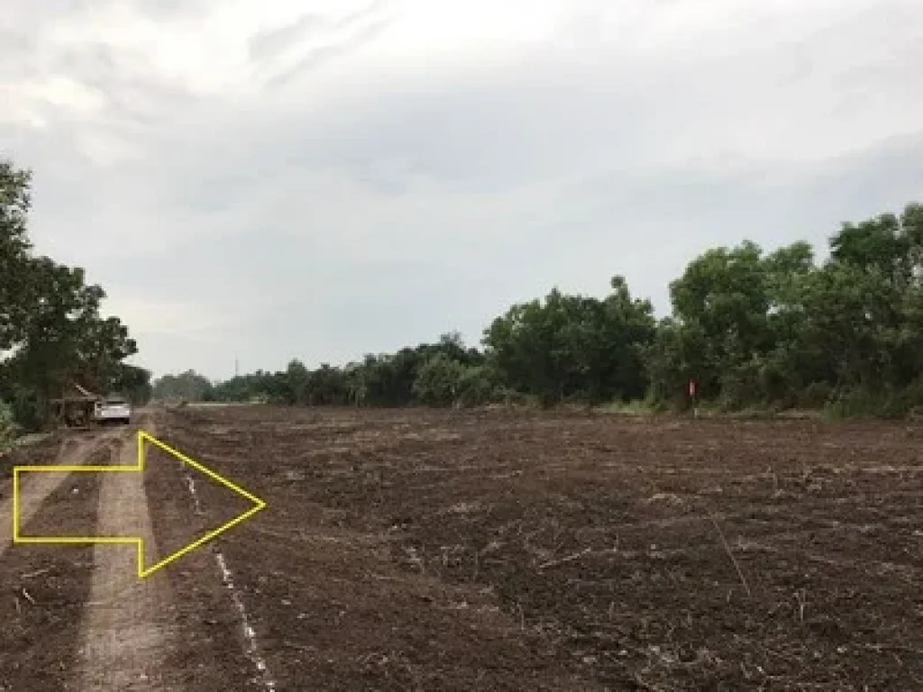 ขายที่ดิน คลอง10 หนองเสือ 3ไร่ ใกล้ถนนลาดยาง แหล่งชุมชน ทำเลดี