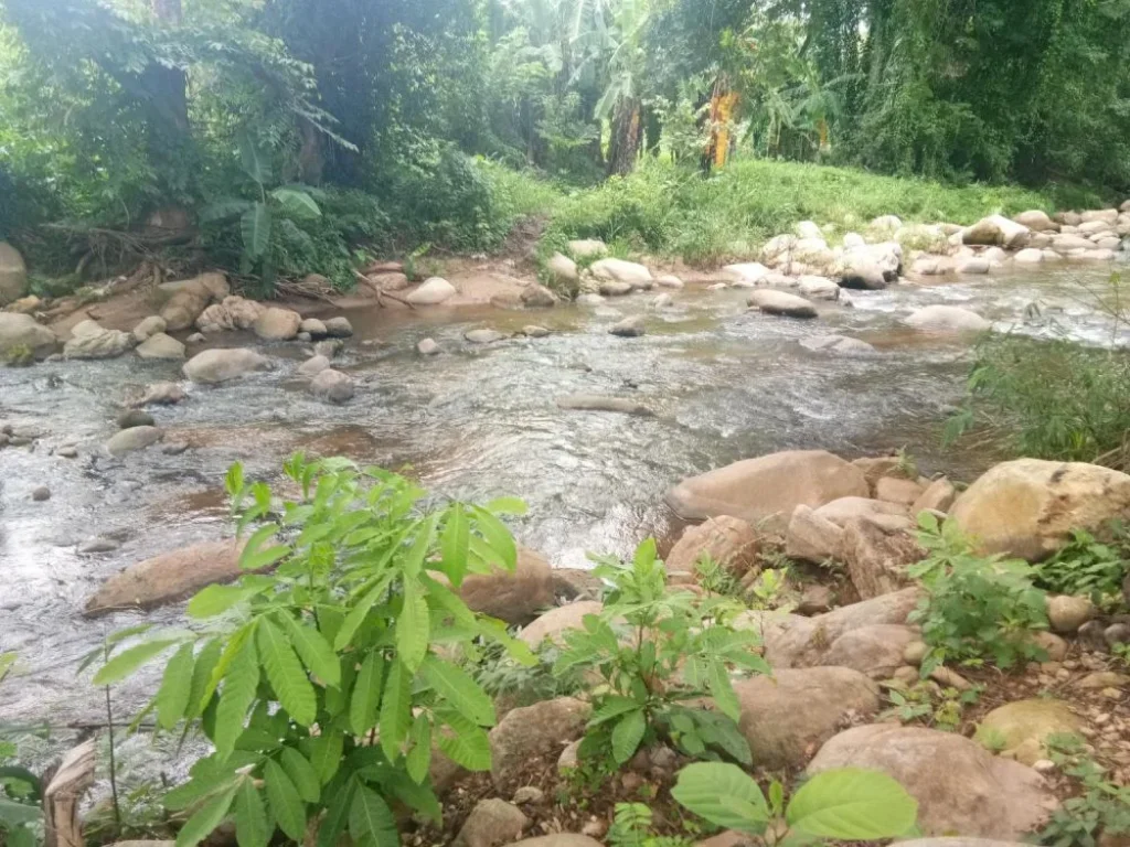 ขายที่ดินบ้านปง มีลำธารน้ำ