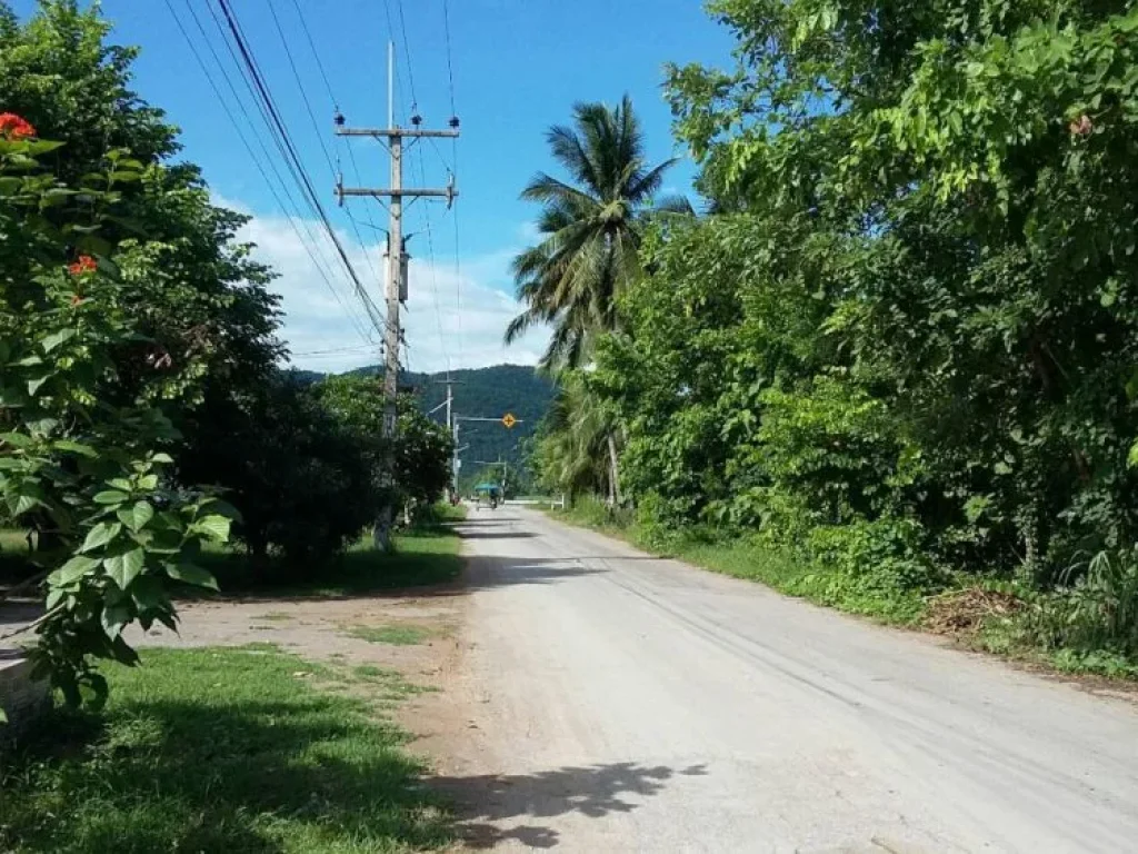 ที่ดินสวยถมแล้ว เนื้อที่ 3ไร่กว่าๆ ที่โฉนด เหมาะที่จะทำสวน ปลูกพืชผัก ขุดล่องน้ำไว้เพื่อทำการเกษตรไว้แล้ว ราคาเหมา 2300000