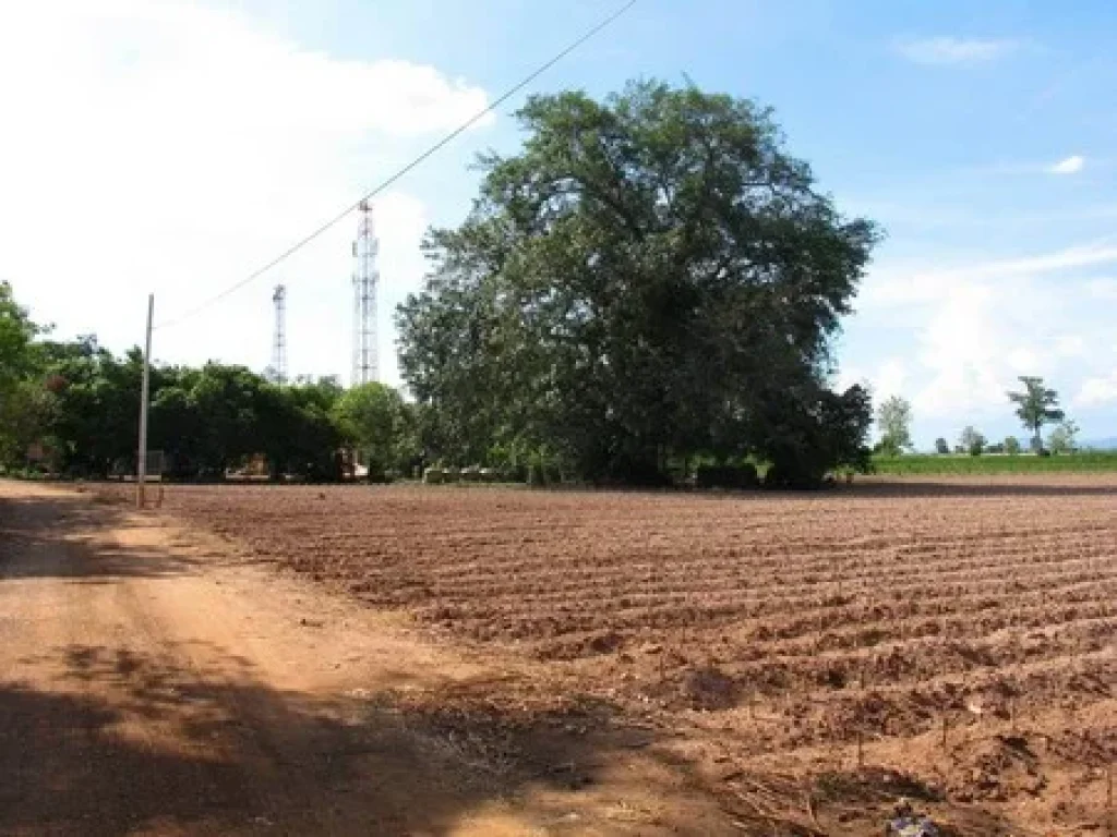 ขายที่ดิน ติดถนนพหลโยธิน อำเภอเมืองกำแพงเพชร ที่สวย ทำเลดี