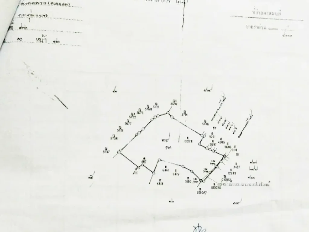 ที่ดิน เพชรเกษม 81 อกระทุ่มแบน เนื้อที่ 22ไร่เศษ ตสวนหลวง สมุทรสาคร