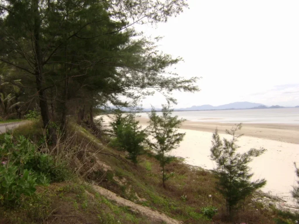 ที่ดินติดทะเลสวย หาดทรายละเอียด