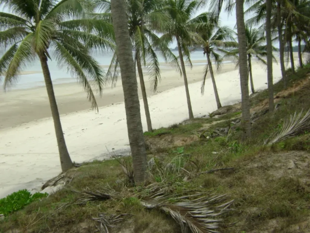 ที่ดินติดทะเลสวย หาดทรายละเอียด