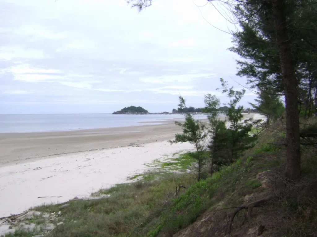 ที่ดินติดทะเลสวย หาดทรายละเอียด