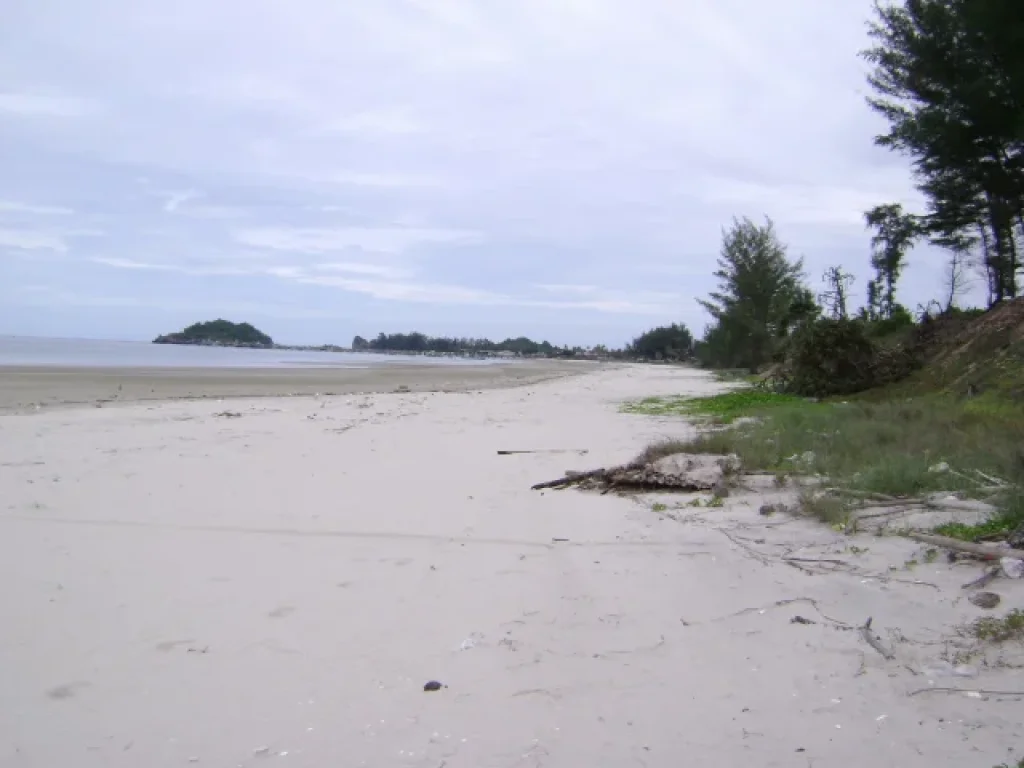 ที่ดินติดทะเลสวย หาดทรายละเอียด