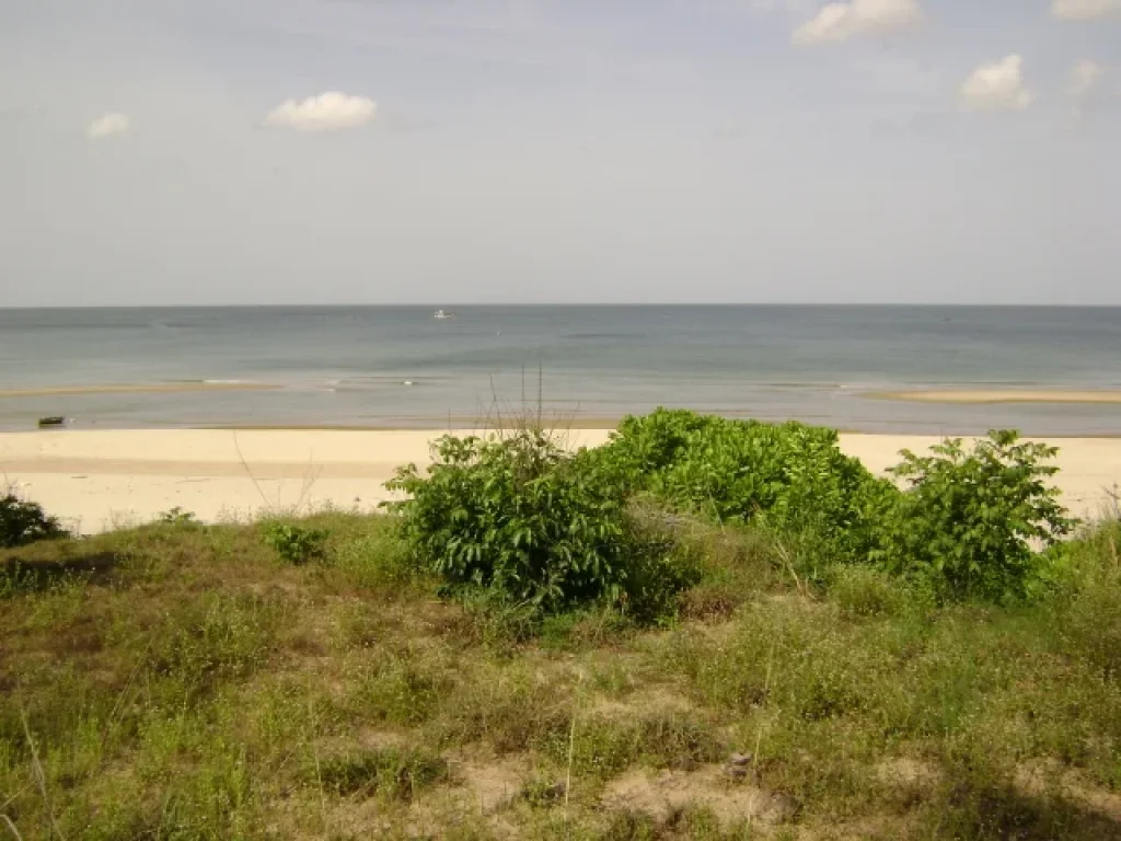 ที่ดินติดทะเลสวย หาดทรายละเอียด