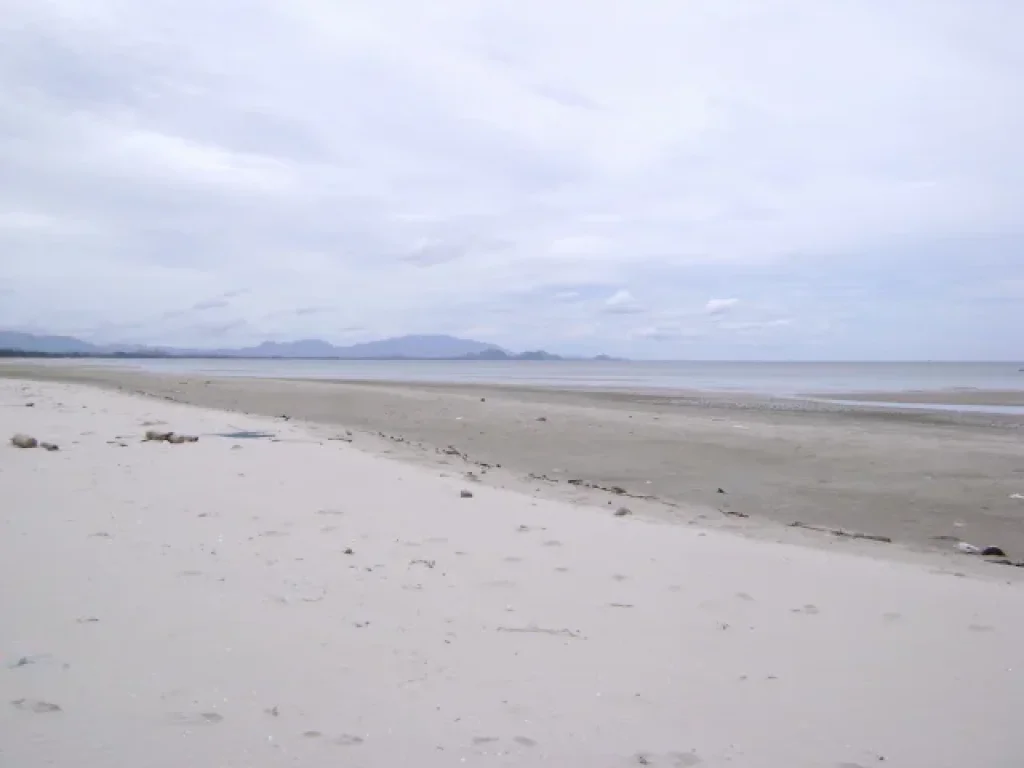 ที่ดินติดทะเลสวย หาดทรายละเอียด