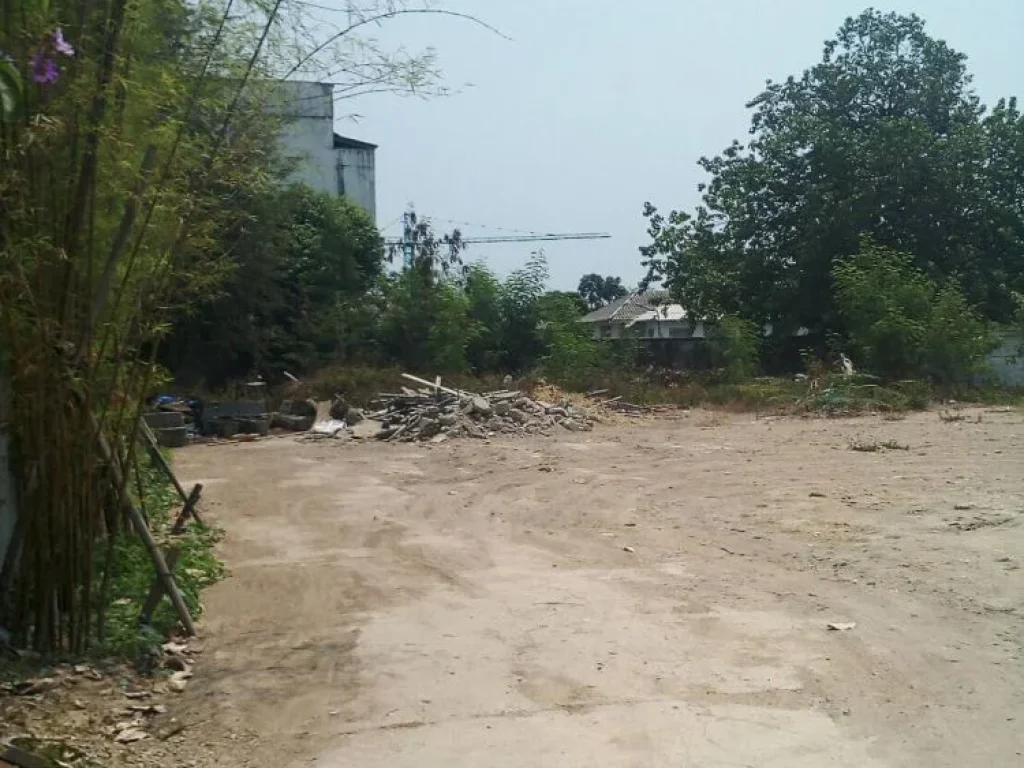 Land for sale in si Phunsa Chiang Mai ขายที่ดิน ราคา 80 ล้านบาท