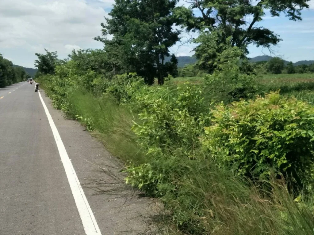 ที่ดินโฉนด จำนวน 3 ไร่เศษ ติดถนนลาดยาง ตโคกตูม อเมือง จลพบุรี