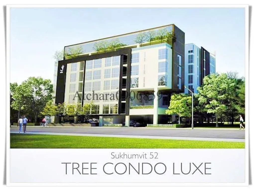 ขาย Tree Condo LUXE Sukhumvit 52 ทรี คอนโด ลักซ์ สุขุมวิท 52 5 นอน 6 น้ำ ชั้น 8