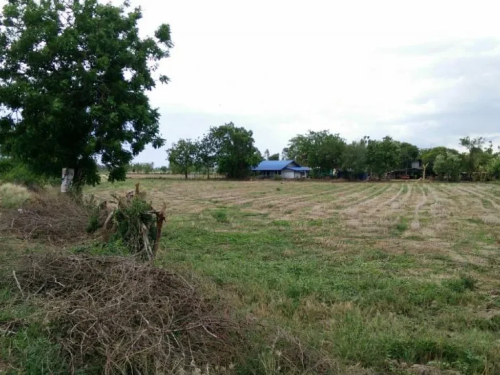 ขายที่ดินใกล้เขื่อนเจ้าพระยา