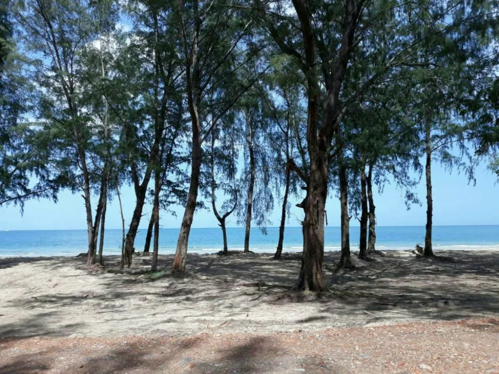 ที่ดินเเบ่งขาย ชายหาดบ้านกรูด อบางสะพาน