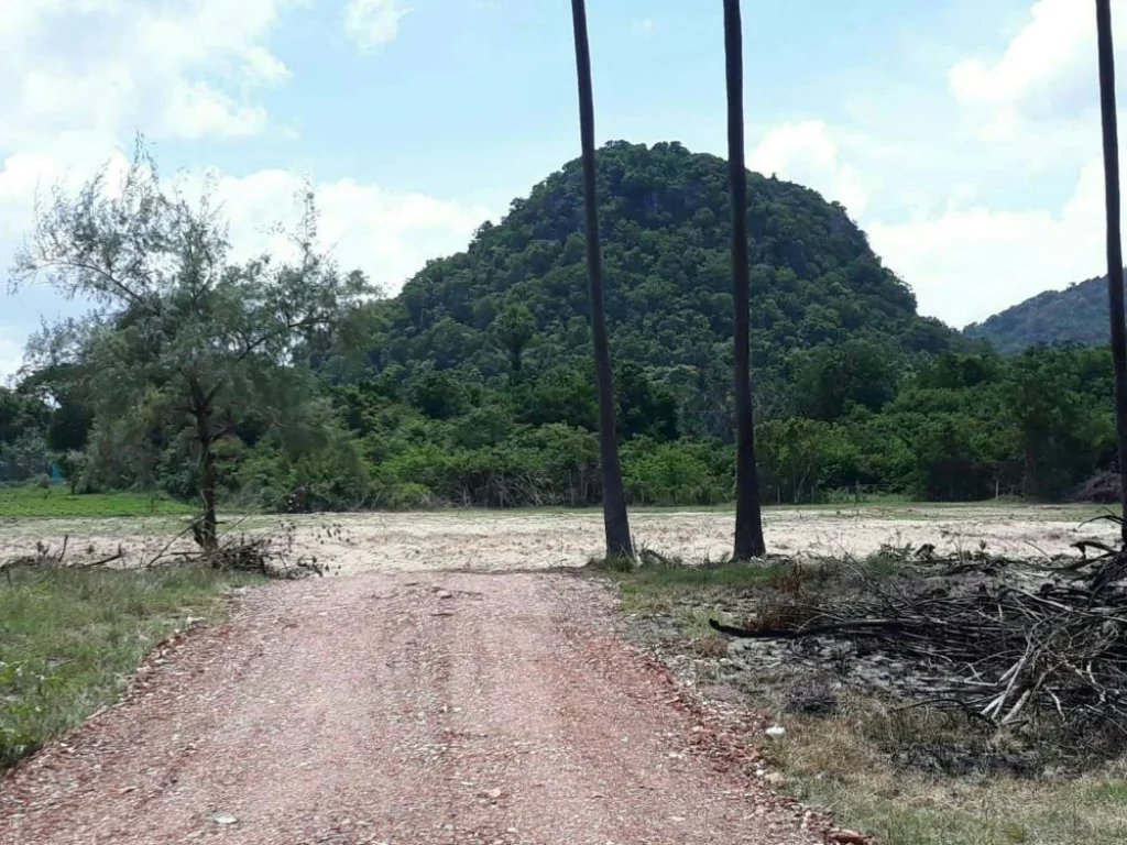 ที่ดินเเบ่งขาย ชายหาดบ้านกรูด อบางสะพาน