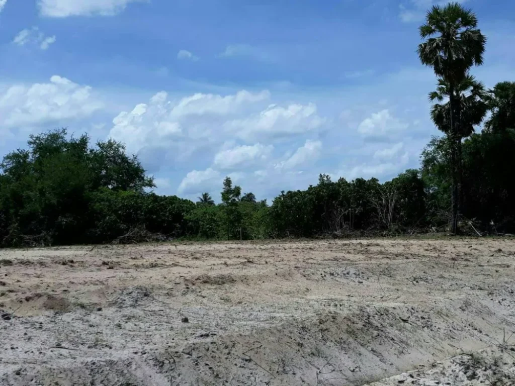 ที่ดินเเบ่งขาย ชายหาดบ้านกรูด อบางสะพาน