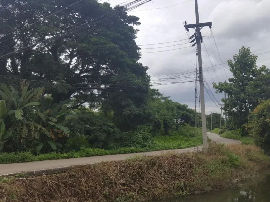 ขายที่ดินเหมืองง่า จลำพูน ติดสถานปฎิบัติธรรมบ้านกล้าธรรม1