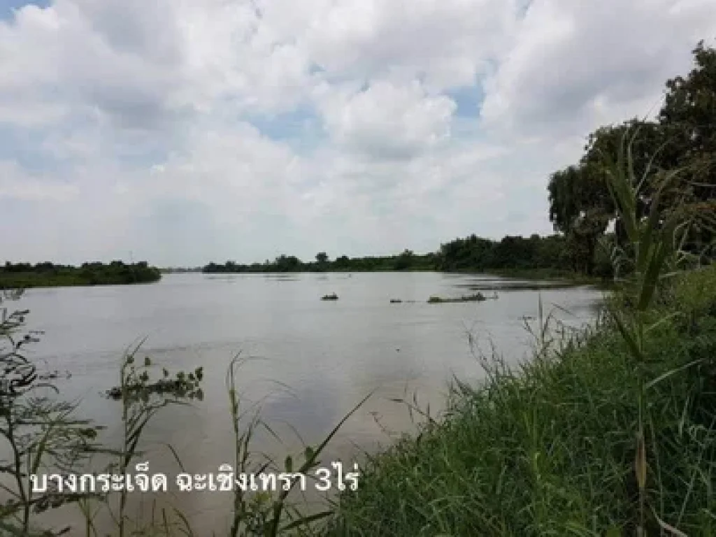 ขายที่ดินสวยริมแม่น้ำบางปะกง ฉะเชิงเทรา 2แปลง ตบางกระเจ็ด อบางคล้า