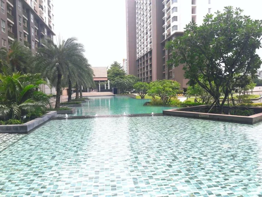 CR1038Condo For Rent The Parkland Srinakarin Floor 12 A Building Room 555300 Price 12000THBMonth