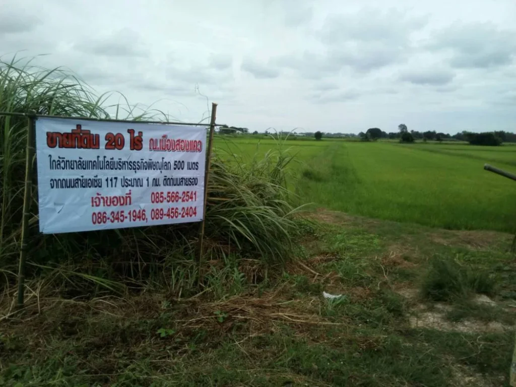 ขายที่ดิน20ไร่ ติดวิทยาลัยเทคโนโลยี่บริหารธุรกิจพิษณุโลก