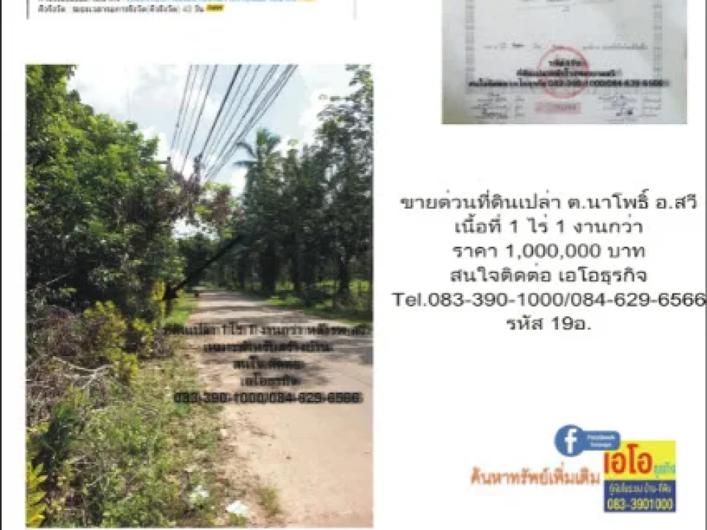 ขายบ้านและที่ดินเขตชุมพร ระนอง