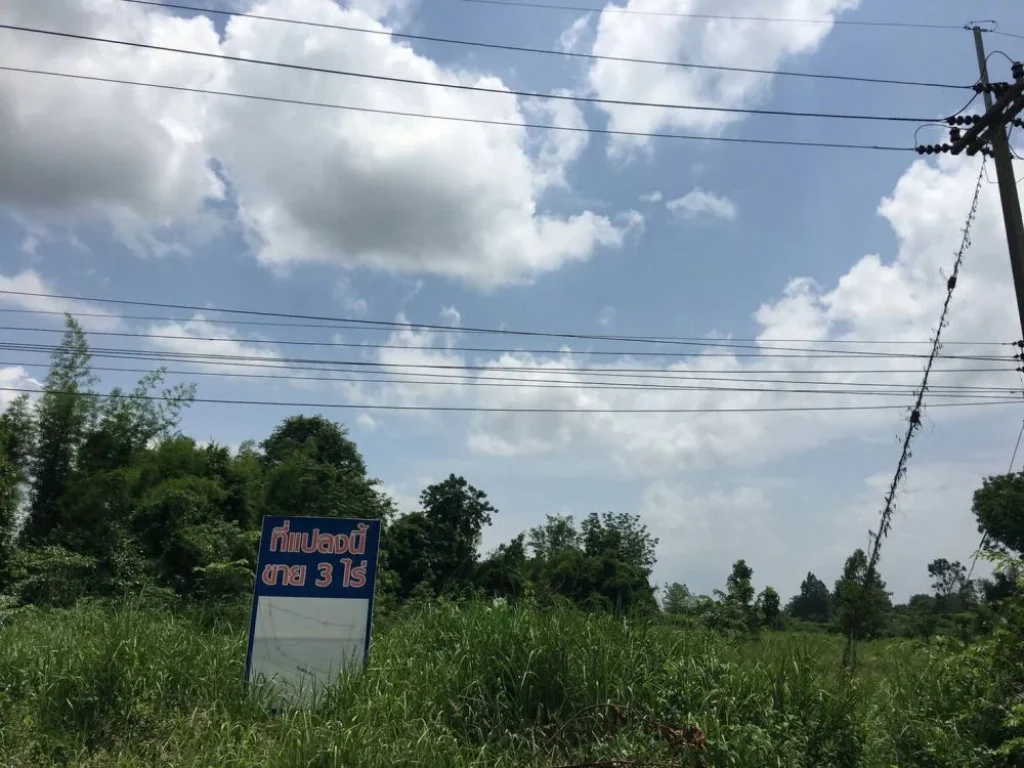 ขายที่ดิน 3ไร่ อำเภอศรีมหาโพธิ จังหวัดปราจีนบุรี